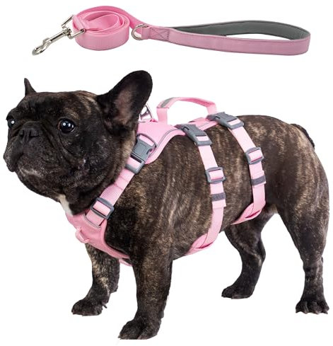 Wuffley Hundegeschirr mit Leine, Sicherheitsgeschirr Hund Ausbruchsicher, Anti Zug Hundegeschirr mit Assistenzgriff und Reflektierende, Leichtes Verstellbare Geschirr für Mittelgroße Hunde (Rosa,M)