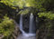 Rasch Tapete 364668 - Fototapete auf Vlies mit Wald und einem kleinen Wasserfall in Grün und Braun aus der Kollektion Magicwalls - 2,65 m x 3,71 m (LxB)