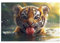 Puzzle 3000 Teile Tiger, Niedlich Holz XXL Puzzle Erwachsene mit Schachtel und Poster, Schwierige, Herausfordernde und Interessant Spiele für Anfänger, Männer/Frauen Wohndekoration Geschenke 1T-471