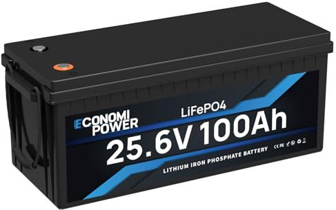 EconomiPower LiFePO4 100Ah 24V Batterie, 2560Wh Lithiumbatterie mit 100A BMS, Max 15000 Tiefenladezyklen, Perfekt für Wohnmobile, Vans, Trolling Motor, Boote und Solare Heimanlagen