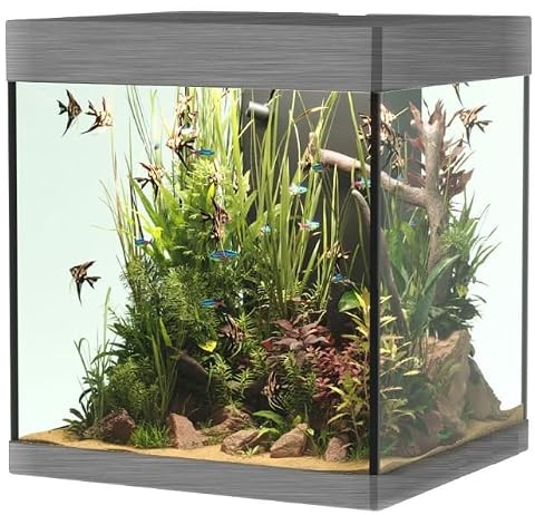 Opera Aquarium 80 Steel