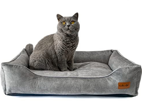 Halkalife Katzensofa – Samtsofa für einen kleinen Hund – Hundebett mit separatem Kissen und abnehmbaren Kissenbezügen – Hundebett aus dickem, strapazierfähigem Polstermaterial (S (60x40x15 cm), Grau)