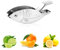 HyzaPhix Spremiagrumi manuale in acciaio inox a forma di uccello, spremiagrumi manuale per arancio limone, lime, melograno, agrumi (pesce) (pescare)