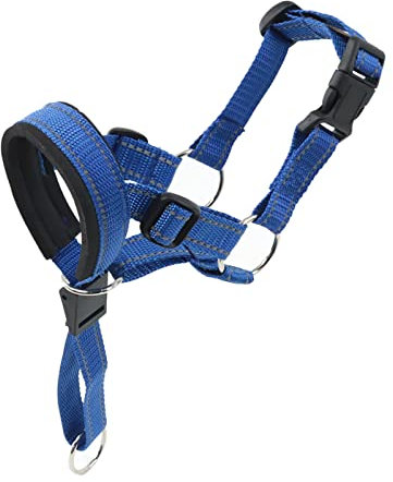 Sonew Hundekopfhalsband, Verstellbar, Verhindert Beißen, Bellen, Kauen, Nylon-Hundemundschutz, Trainingshilfe Gegen Beißen Im Freien (XL)