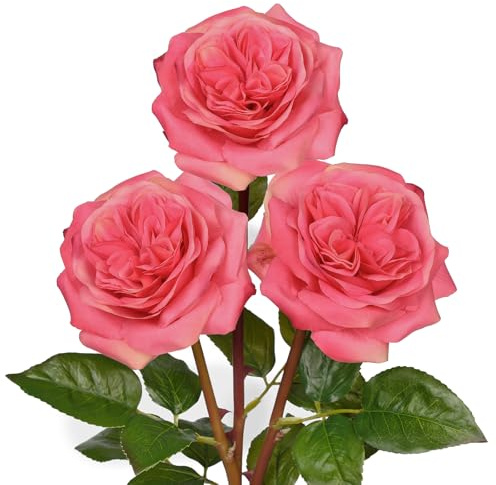 Hollyone 4.7'' Large Artificial Roses - Set of 3 Long-stem Real Touch Silk Flowers, 24.4 Faux Flowers for Home Decor, Wedding Bouquets, Centerpieces & Floral Arrangements – Lifelike Pink Fake Roses