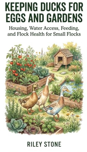 KEEPING DUCKS FOR EGGS AND GARDENS: Housing, Water Access, Feeding, and Flock Health for Small Flocks