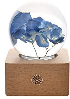 Dr. Pets Miss LI Garden Für Immer Blaue Hortensien-Kristallkugel, Frau Freundin Frauen, Jubiläum, Muttertag, Geburtstag, Valentinstag Wohnkultur (6. Blaue Hortensie)