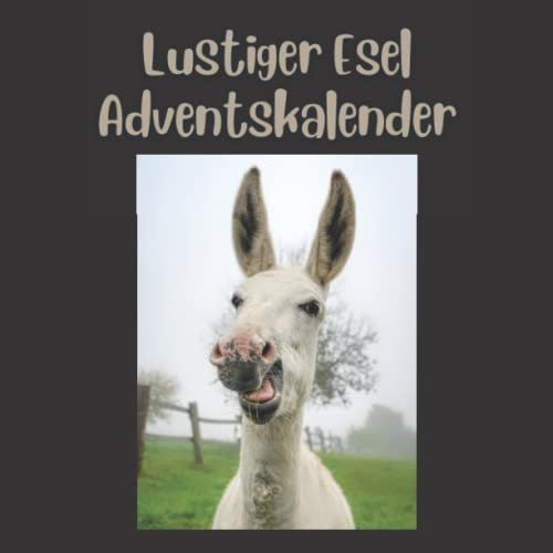 LUSTIGER ESEL ADVENTSKALENDER: 24 Countdown Weihnachten Urkomische Eselbilder Adventskalender Tägliche Tierfotos 25. Dezember Kalender