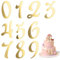 20pcs 0-9 Number Birthday Cupcake Toppers,Acrylic Numbers for Cake Gold Acrylic Cake Topper for Birthday Wedding Party（Gold）