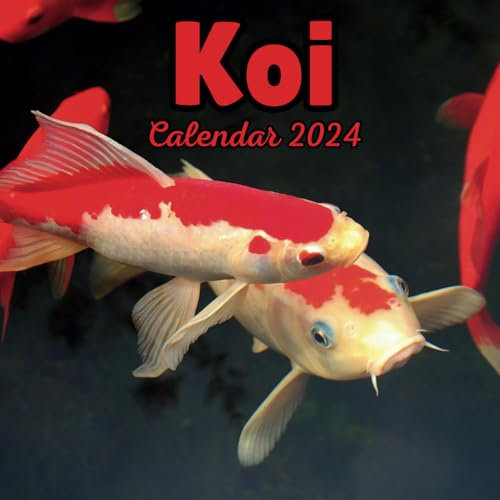Koi Calendar 2024: September 2023 to December 2024 Monthly Weekly Organizer To Keep Track Of Dates