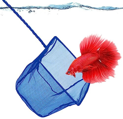 SunGrow Betta Fish Net, Secure Delicate Fin, 5x4 Inches with 11 Inches Handle, Extra Soft Nylon Net, Easy Routine Aquarium Tank Maintenance, Fish Tank Supplies