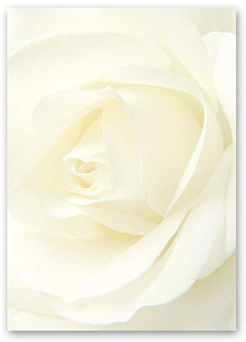 100 Blatt Briefpapier Blumen & Blüten, Liebe & Hochzeit WEISSE ROSE - DIN A6 Format - Paper-Media