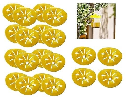 BEAUTYBIGBANG Wespenfalle Bienenfänger Flascheneinsatz 20er Set Wespenfänger zum selber Bauen Wespenschutz DIY Wespenabwehr Tools für Bastler für Garten Bienenzucht