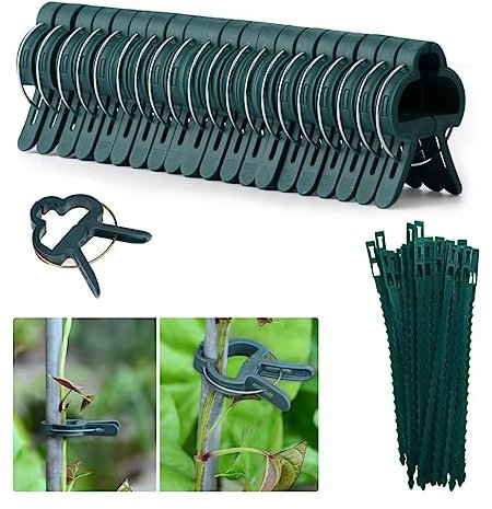 Kakveiai 60PCS Pflanzenclips Set, Pflanzenklammern, Rankpflanzen Bindeset, Für Tomaten, Rosen, Gurken Stabile Klammern Für Kletterpflanzen Befestigung (30large Clips 30Ties) (60 Pcs)