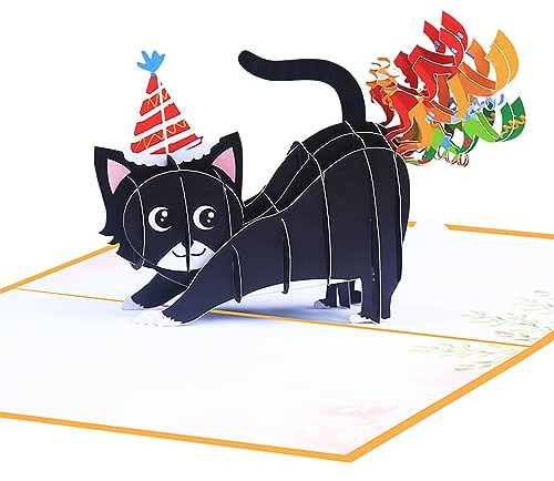 ROBBEAR Funny Cat Pop Up Birthday Card, Funny 3D Birthday Cards for Adults and Kids with Envelopes, Handmade Gifts for Cat Mom, Dad, Friend and Every Cat Lover