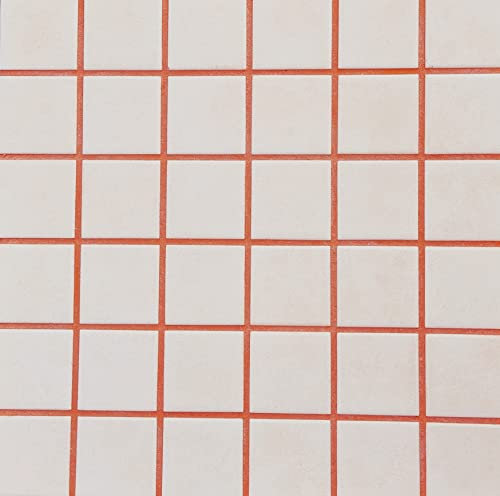 Fugenmörtel-Farben | HOCHROT | 1kg | Einsetzbar für Fugen im Innen- und Außenbereich auf Wand- und Bodenflächen