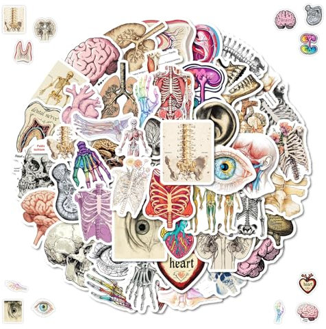 Organe Aufkleber, 2 x 50 Stück Anatomie der Organe, Wasserdicht Vinyl Aufkleber für Scrapbook, Skateboard, Gepäck, Fahrrad, Stoßstange, Motorrad, Kühlschrank, Laptop