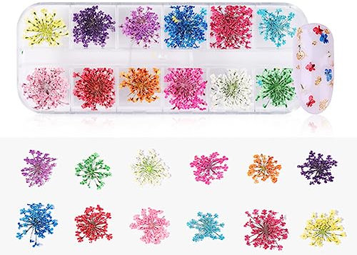 Raguso 12 Farben natürliche Nagel trockene BlumenManiküre Sonnenblumen Aufkleber Nagel Dekoration Kunst DIY Werkzeugzubehör(A)