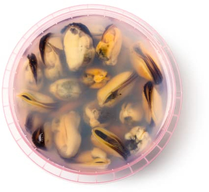 Mussels in Pot 450gr x 2 Pack – Premium Ready-to-Eat Mussels, Tender & Flavourful, Perfect for Quick Gourmet Meals