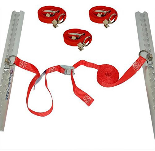 4 x Spanngurt/Zurrgurt aus PES (Polyester), LC 300 daN, 5m, 25mm, mit Klemmschloss, Einfachendbeschlag mit Ring