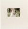 goldbuch Hochzeitsalbum Herzklopfen, Fotoalbum mit 60 weißen Seiten und Pergamin, Erinnerungsalbum mit Ausstanzung für eigenes Bild, Album veredeltes Papier in Satinoptik, ca. 30 x 31 x 4 cm, 08 009