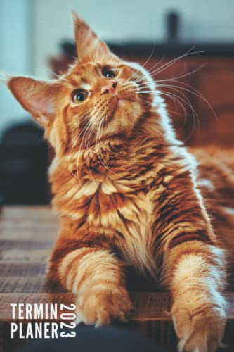 Terminplaner 2023: Katzen - Taschenkalender | 12 Monate | Wochenplaner, Terminkalender von Januar bis Dezember 2023 Ideal für Studenten, Berufstätige ... | Monatsplaner, Kontaktliste, Notizen