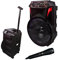 MAKA Speaker Wireless Bluetooth 130W Portatile con Microfono Impianto Audio Cassa Attiva con Effetti di Luce Rgb MP3 USB/SD Batteria Ricaricabile Suono Pulito Equalizzatore (12 130 watt)