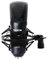 SUUNTOK XLR Condenser Microphone Recording Microphone for PC Computer Home Studio Cardioid Podcast Mic Kit for Streaming, ASMR, YouTube, Voice-Over, Gaming, Vocal (Black)