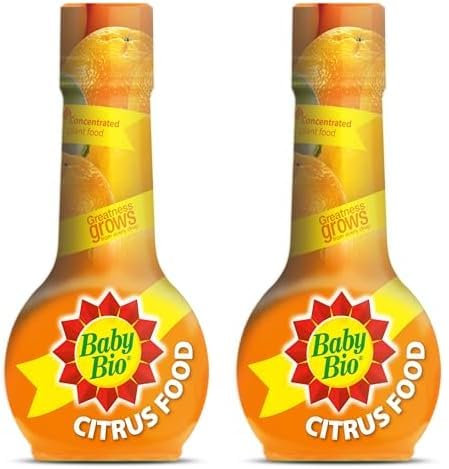 Baby Bio Citrus Food, 175ml - Citrus Plant Food for Healthy Growth and High Potassium for Better Fruit Yield - Year Round Care Concentrate Fertiliser - Fruit Tree Aid Spray (Pack of 2)