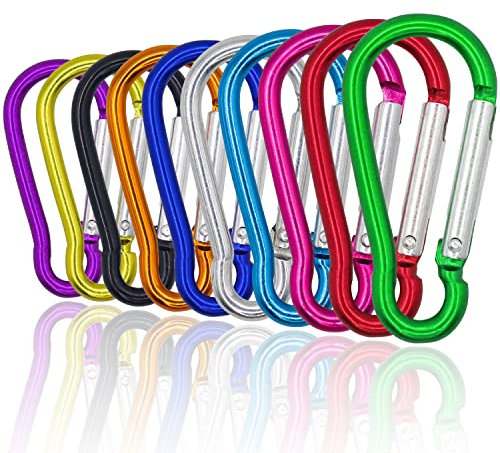 AIRUEEK Lot de 10 Mousqueton Porte Clé de Verrouillage en Aluminium Avec Anneau en D - Mini Pour Sac à Main, Voyage, Pêche, Escalade, Camping, Sac à Dos