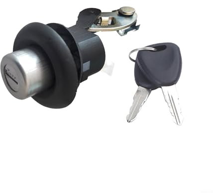 HEIBTENY Serrure de coffre arrière + 2 clés de rechange pour hayon Dacia, Logan, Sandero et Duster 905020198