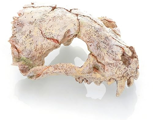 Sertay Triceratops Skelett Aquarium Deko, Reptilien Totenkopf, Groß Skull Skelett Aquascape, Es Ist EIN Sehr Durchdachtes Geschenk Für Dinosaurierliebhaber Und Aquarienspieler (B)