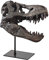 Dinosaurier Schädel Skulpturen Tyrannosaurus Rex Resin Head Statue Wohnzimmer Deko Modern Büro Dekoration Wandregal Dekoration
