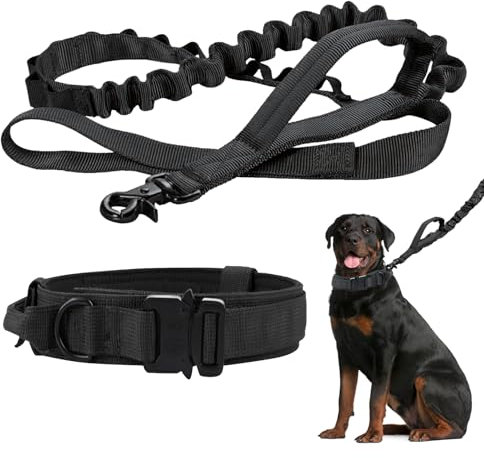 Taktisches Hundehalsband mit Kontrollgriff, Verstellbare Hunde Halsband, Verstellbares Nylon Halsband für Kleine bis Große Hunde, Schwarz