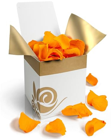 Aluisi Fiori - Petali Arancioni di Rosa Stabilizzata - Decorazione Elegante per Eventi, Matrimoni e Regali Speciali