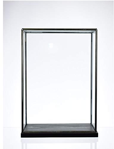 EMH Vitrine aus Glas und Eisen, handgefertigt, 37,8 cm hoch, Schwarz