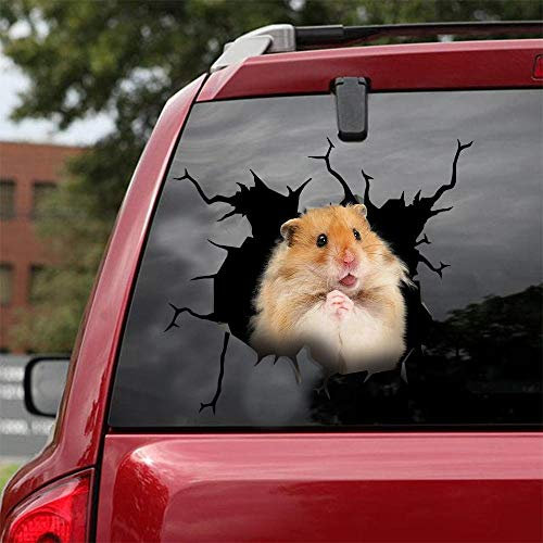 Ocean Gift Hamster Auto Decals Wandsticker Aufkleber 2 Stück - Realistische Autoaufkleber Design Serie 13 Größe 30,5 cm x 30,5 cm