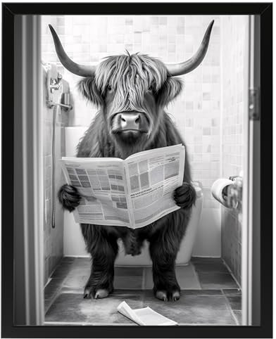Hochlandrind auf WC, Poster 40cm x 50cm mit Rahmen, Toilette Badezimmer Deko Bild, Wand-Deko Bilder Lustiges Geschenk