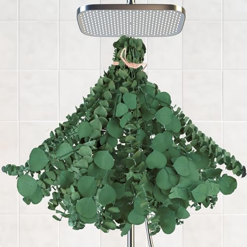LAUMOE 25 Stück Eukalyptus Getrocknet, 43 cm Eucalyptus Getrocknet Trockenblumen Eukalyptus Deko Getrockneter Eukalyptus Zweige Echt für Vasenfüller