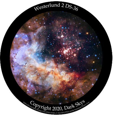 Miller Engineering Westerlund 2 Star Disc for Homestar Flux Home Planetarium, 220 Film Format, Color