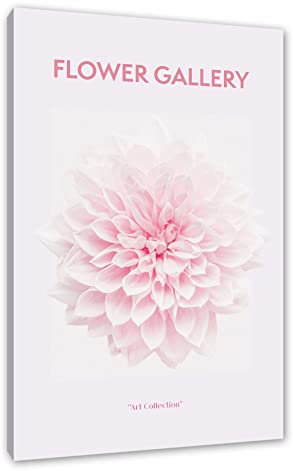 Pixxprint Flower Gallery - Rosa Chrysantheme I als, Größe: 80x60cm, Leinwandbild, fertig gespannt, Wandbild, Dekoration, Kunstdruck, kein Poster
