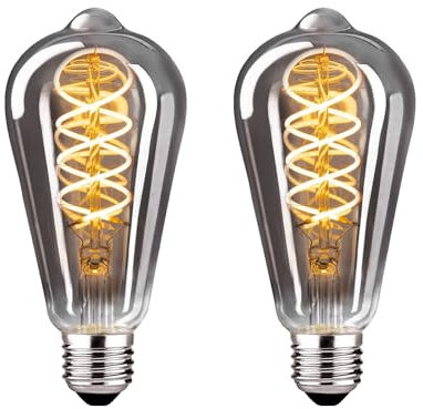 BNITITU E27 LED Vintage Glühbirne, Dimmbar Glühbirne 4W ST64 LED Warmweiss, Vintage Edison Dimmbar lampe E27 Ideal für Nostalgie und Retro Beleuchtung - Rauchgrau Glas - 2 Stück(ST64 YHS)