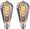 BNITITU E27 LED Vintage Glühbirne, Dimmbar Glühbirne 4W ST64 LED Warmweiss, Vintage Edison Dimmbar lampe E27 Ideal für Nostalgie und Retro Beleuchtung - Rauchgrau Glas - 2 Stück（ST64 YHS）