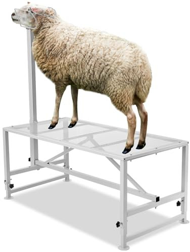 VEVOR Soporte para Ganado de 1195 x 584 mm, Soporte para Cabras y Ovejas, Soporte de Metal para Ordeño y Esquila de Ganado de 533-838 mm de Altura Ajustable con Tocado y Bucle para la Nariz, Blanco
