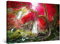 Startonight Bilder Roter Baum und Wasserfall - Leinwandbilder Moderne Kunst - Landschaft Wanddeko Kunstdrucke, Wandbilder XXL Wohnzimmer Groß Wand Bild 80 x 120 cm, Tag Nacht Effekt, Elegante