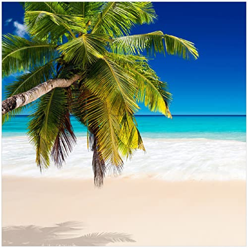Wallario Glasbild Südseestrand in der Karibik mit Palme - 30 x 30 cm Wandbilder Glas in Premium-Qualität: Brillante Farben, freischwebende Optik