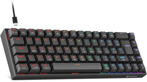 KOORUI 60% Mechanical Gaming Keyboard, Mixed Colors LED Backlit Ultra-Compact 69 Keys, Mini Wired Keyboard with Red Switch for Windows Laptop PC/Mac OS/Xbox-BLACK(Red Switch)