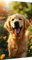 Diamond Painting Erwachsene Blume Diamond Painting Bilder, Diamond Painting Hund, Diamond Painting Set mit Diamond Painting Zubehör, Crystal Art Basteln, Deko Wohnzimmer, Geschenke 90x180cm S2-41