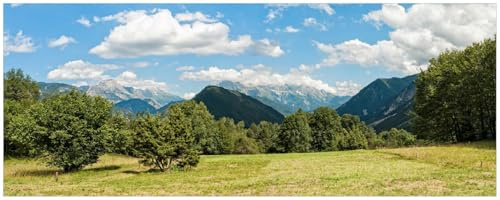 Wallario Küchenrückwand selbstklebend 115 x 50 cm, Motiv: Bergwiese in den Alpen | Spritzschutz abwischbar & pflegeleicht