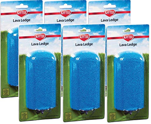 Kaytee (6 Pack) Lava Ledge | Play and Nibble Landing Perch for Small Animals